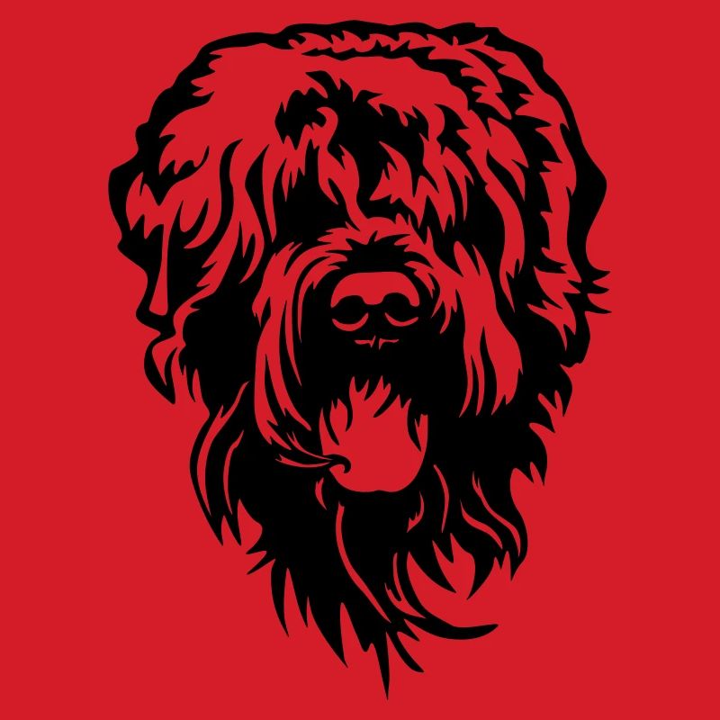 Russian Terrier Head