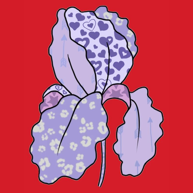 Bunte_Iris