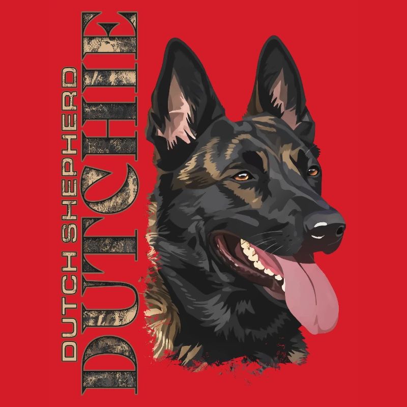 Dutchie - Holländischer Schäferhund