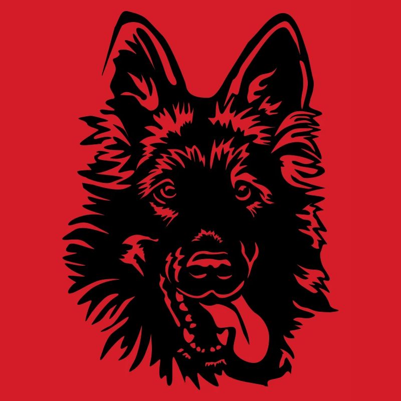 Deutscher Schäferhund Kopf
