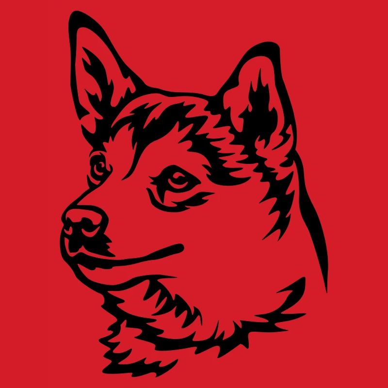 Norwegian Lundehund Head