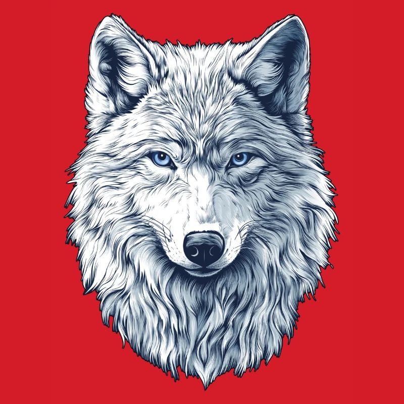 Arctic wolf