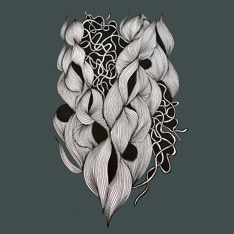 Plexus cardiaque entrelacé