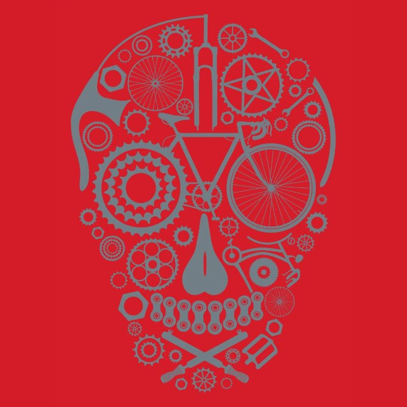 Bicycle Skull grey