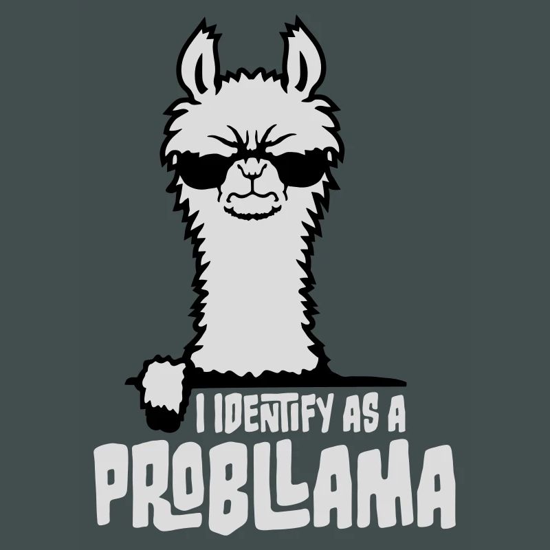 I Identify As A Probllama Cool Lama Problem Spruch