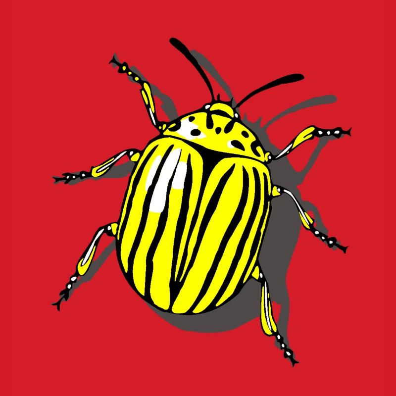 Kartoffelkäfer