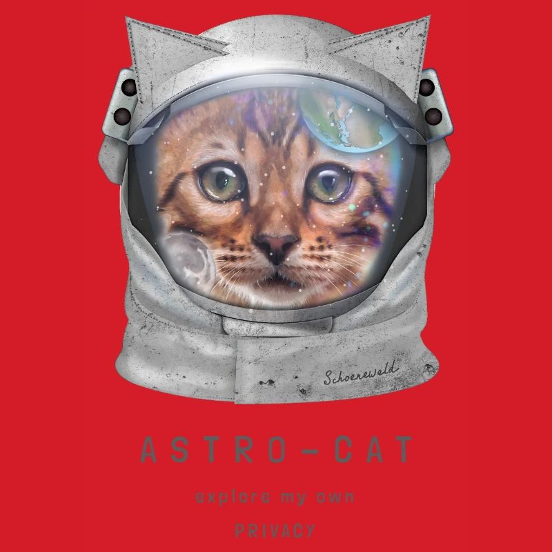 Astro chat Chat de l’espace Chat astronaute Chat dans l’espace