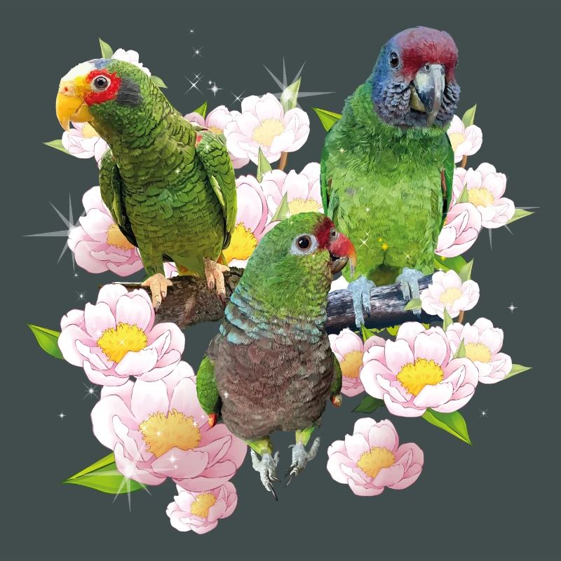 Papageien