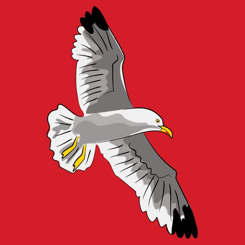 fliegende möwe vogel urlaub