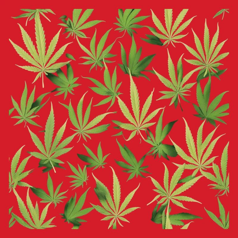 Cannabis 2