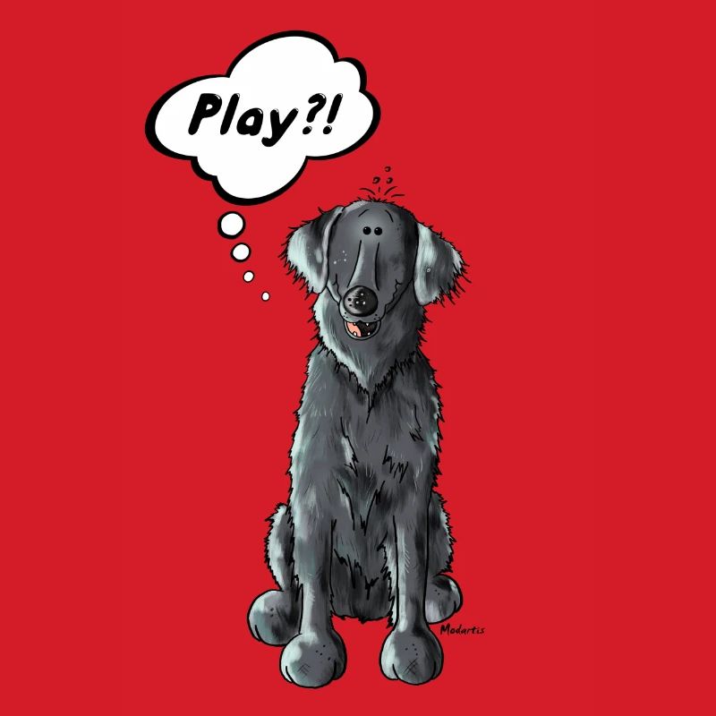 Flat Coated Retriever Play