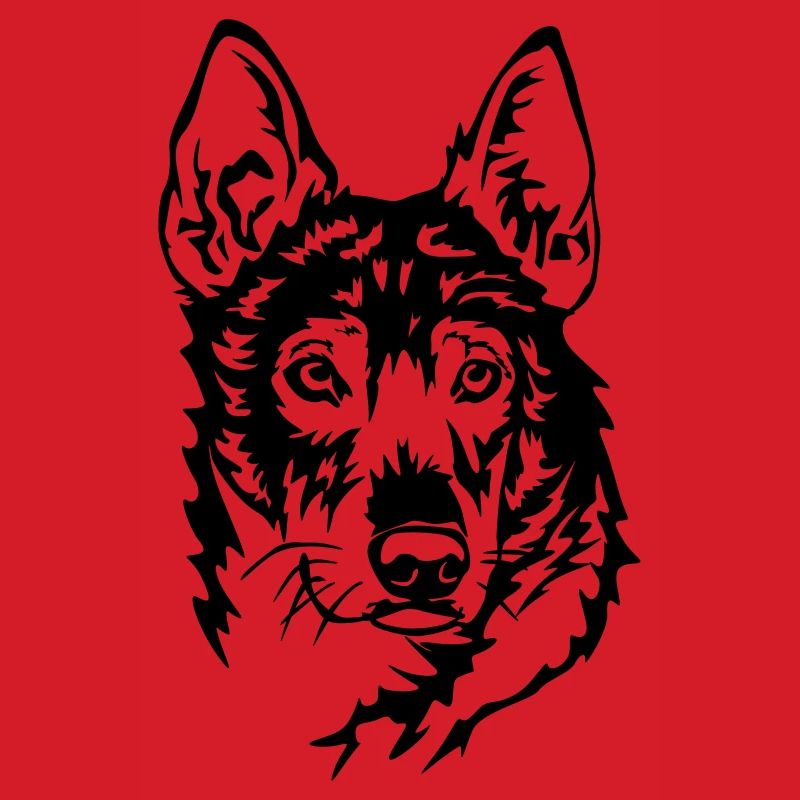 Alaskan Husky Head
