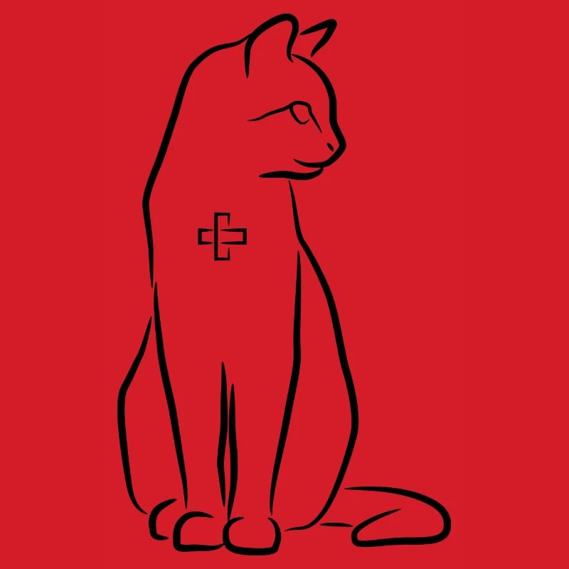 Cat First Aid