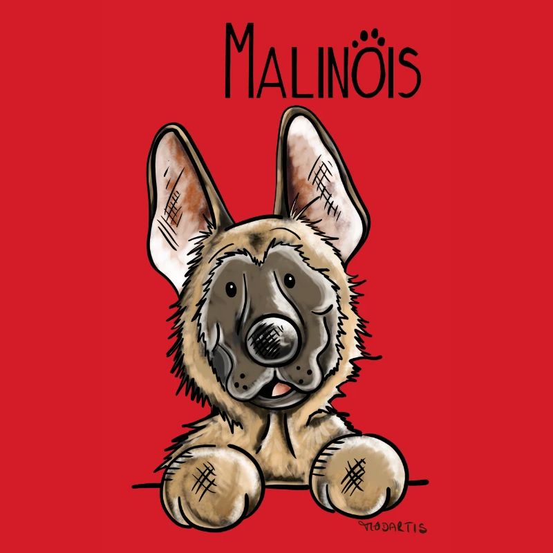 Süßer Malinois