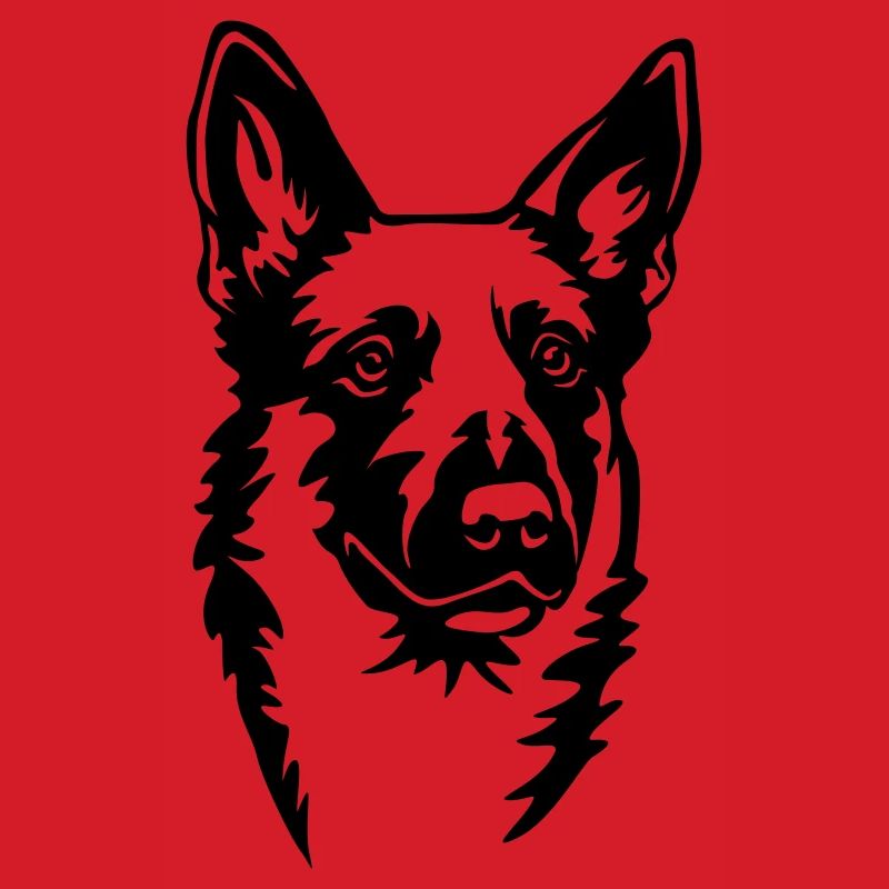 Malinois Kopf