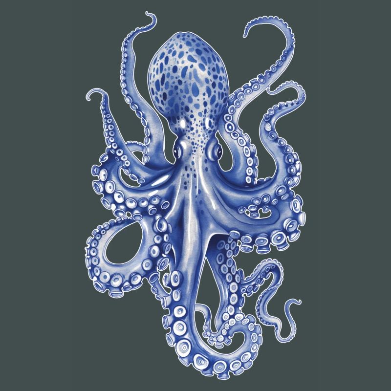 Oktopus