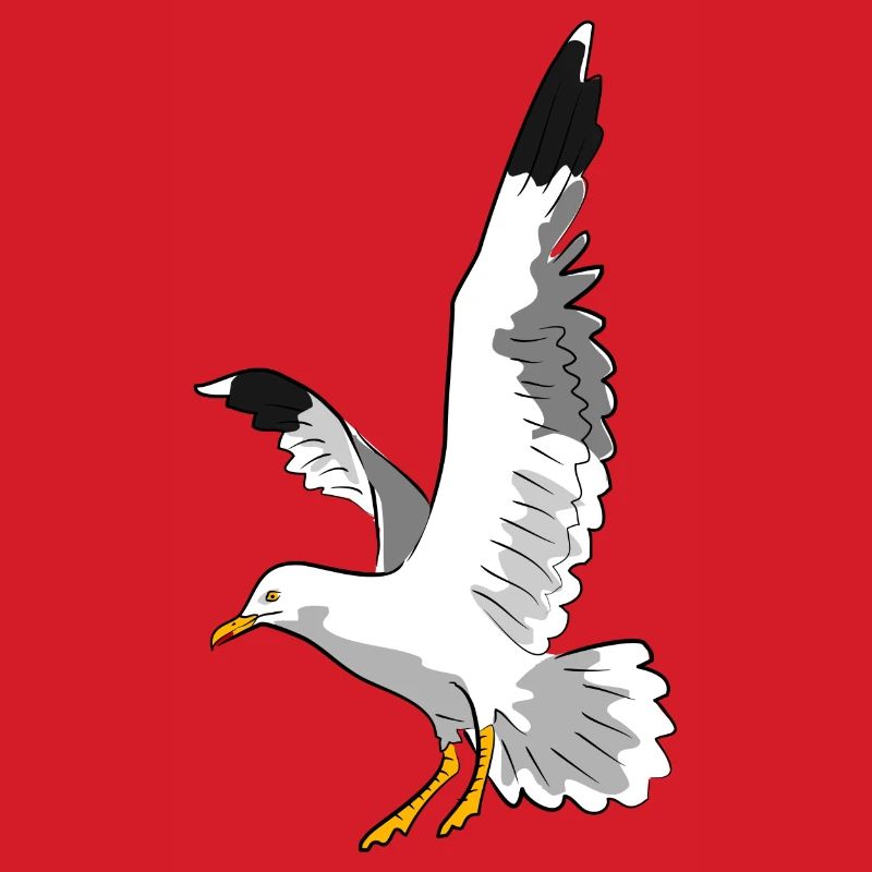 vogel möwe strand