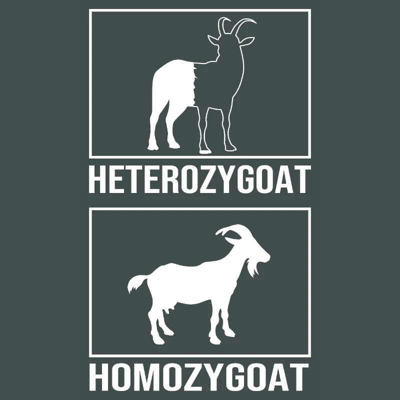 Formule structurale de la molécule