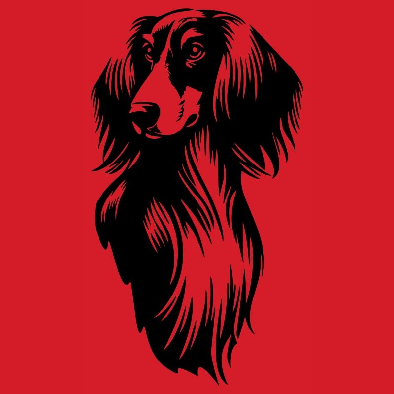 Saluki Kopf