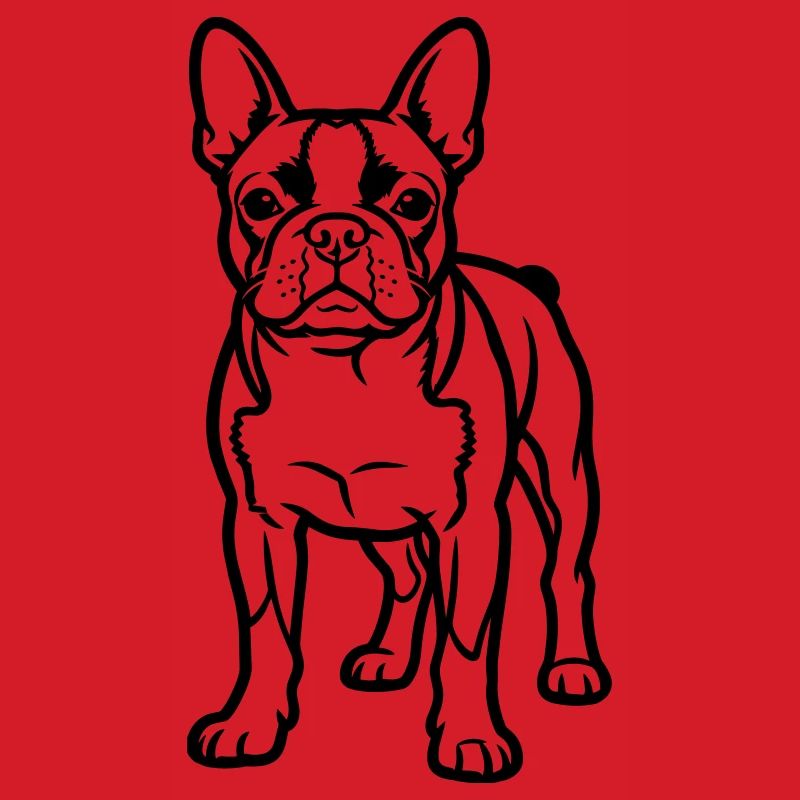 Boston Terrier