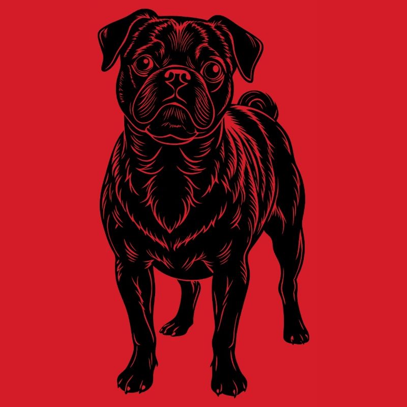 Pug