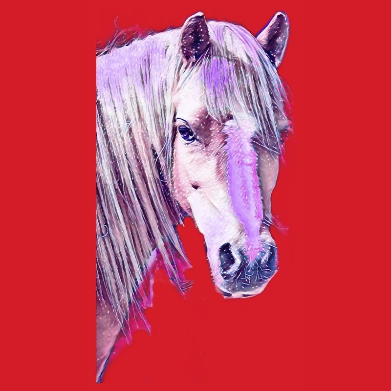 Welsh Pony