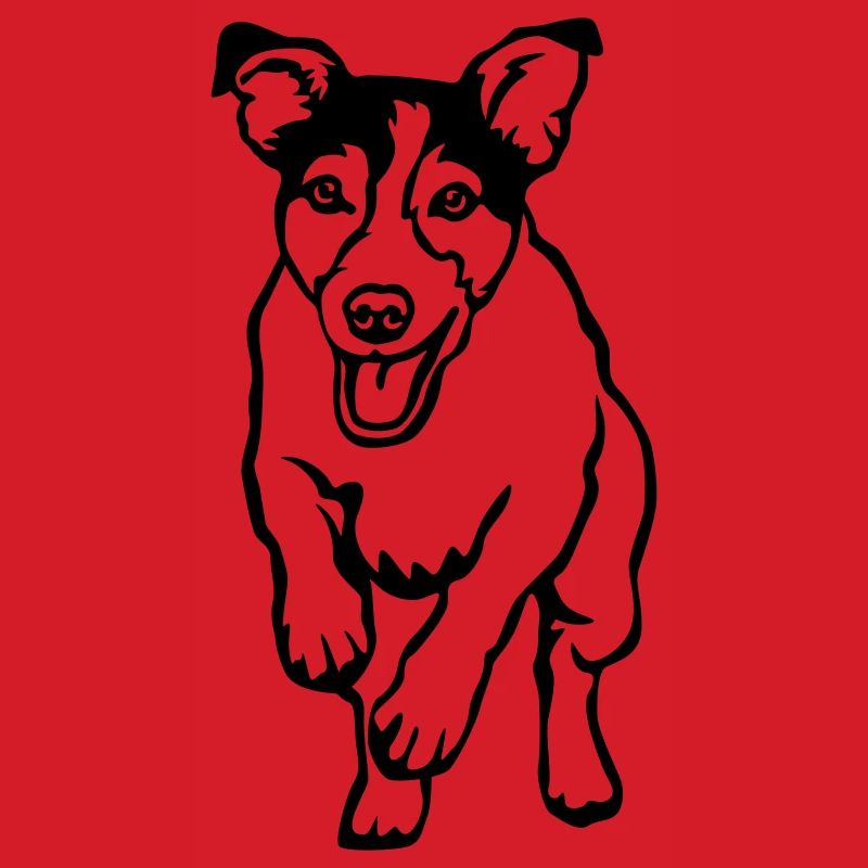 Jack Russell Terrier