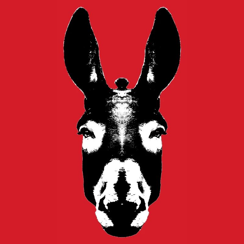 Donkey / Head