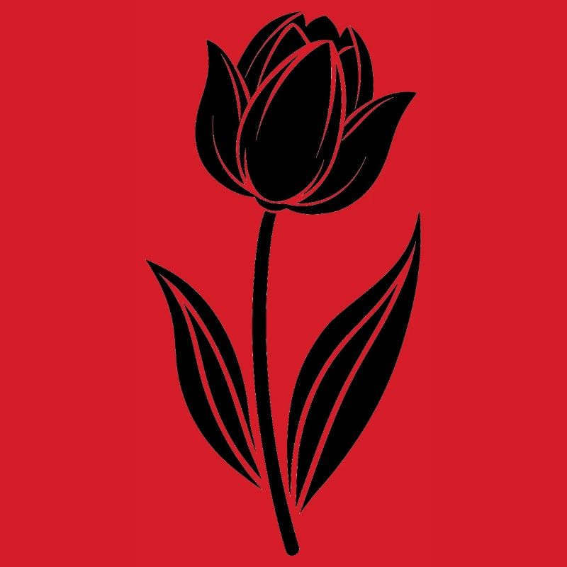 Tulpe