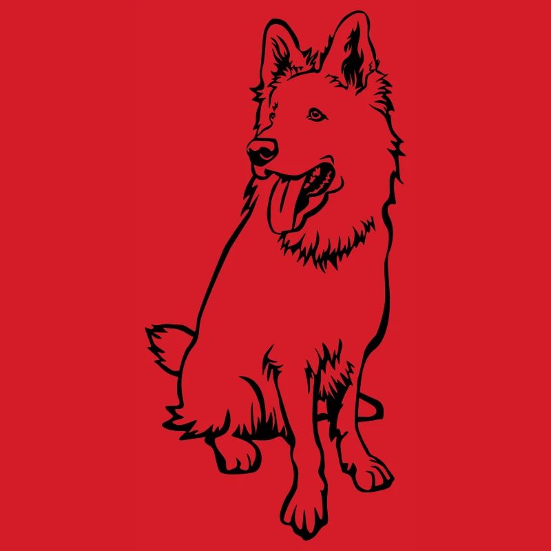 Swiss Shepherd