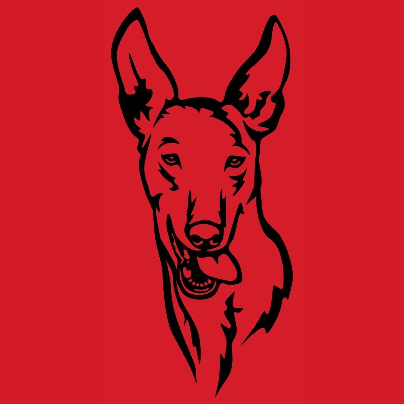Podenco Kopf