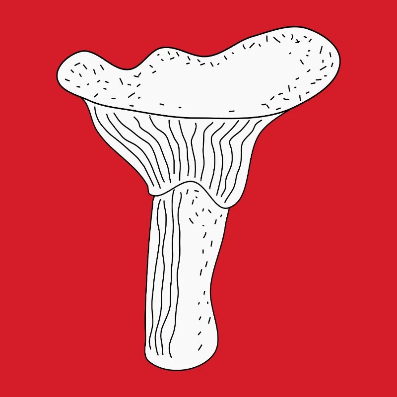 Pfifferlinge Pilze