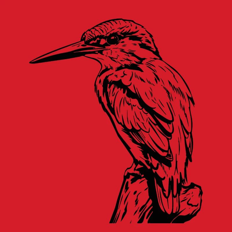 Specht / Eisvogel