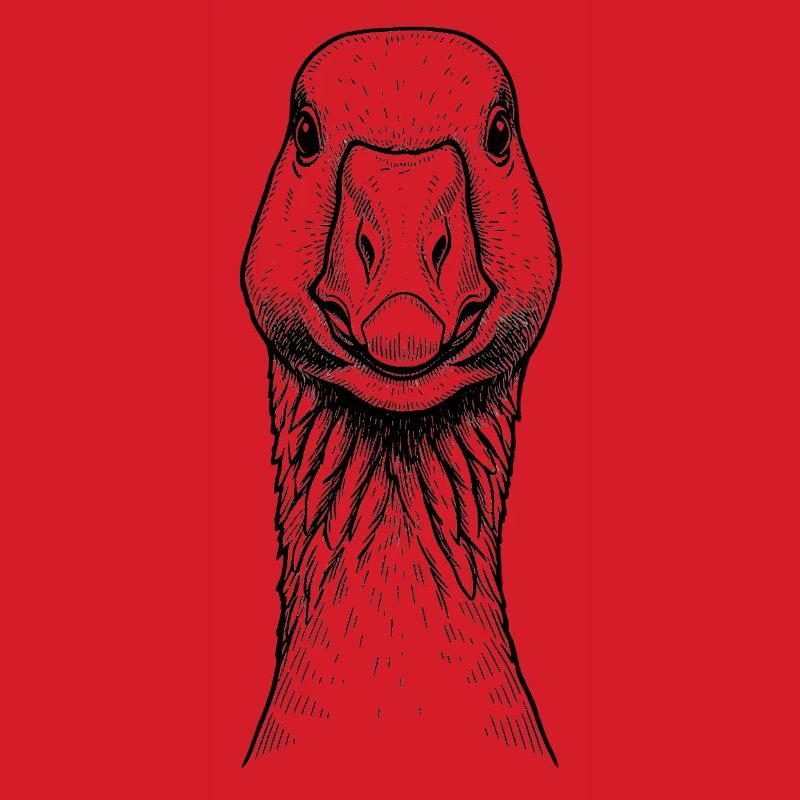 Goose