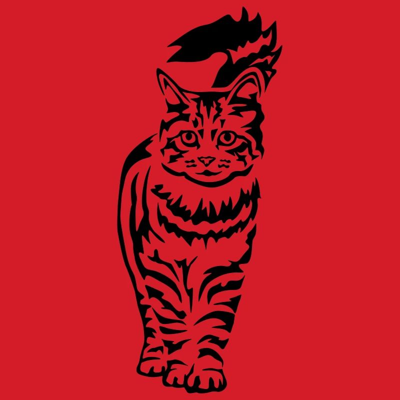 Domestic Cat - Cat