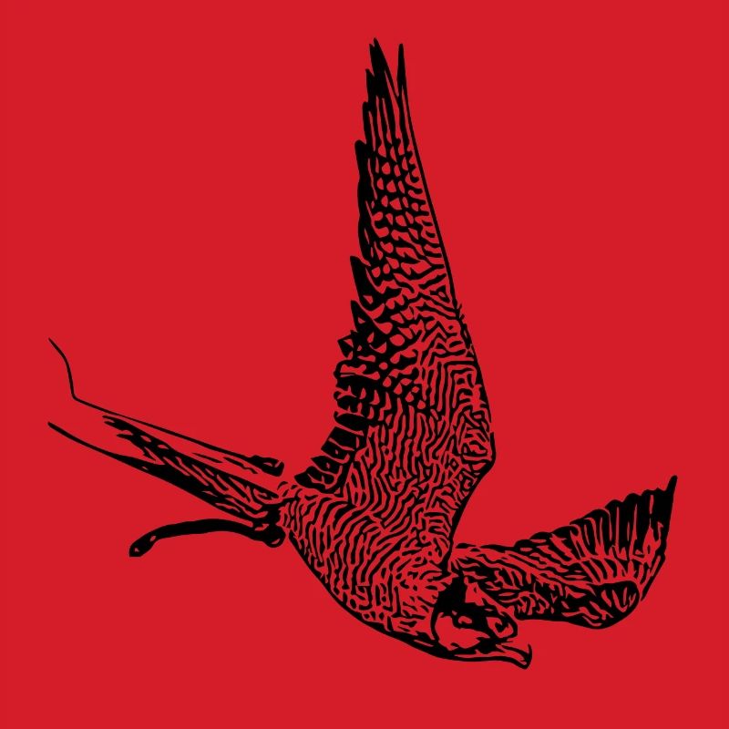 Falcon in a nosedive