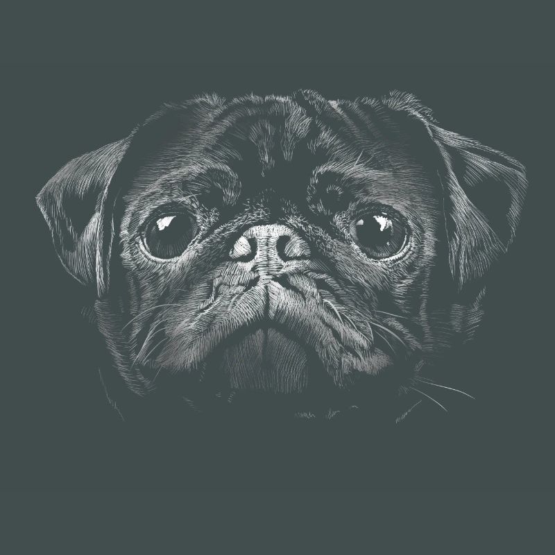 Mops