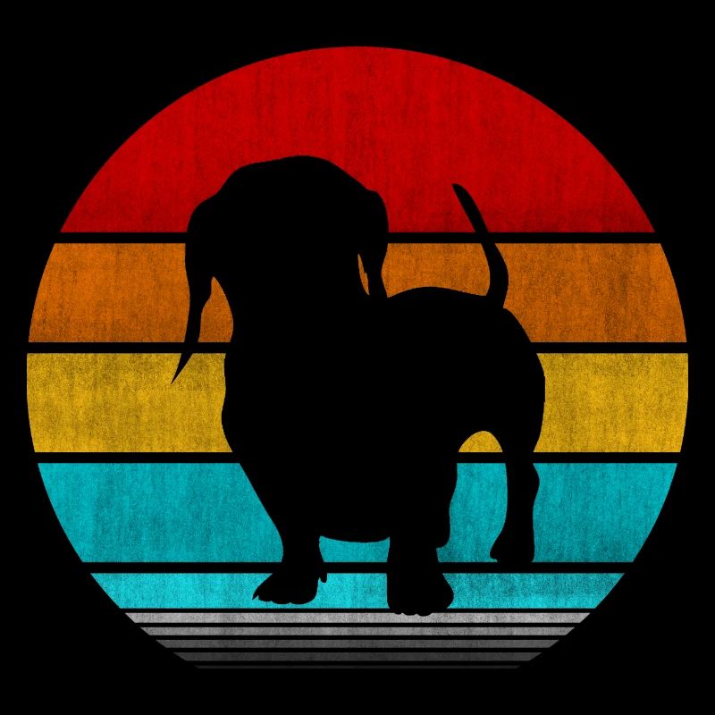dachshund
