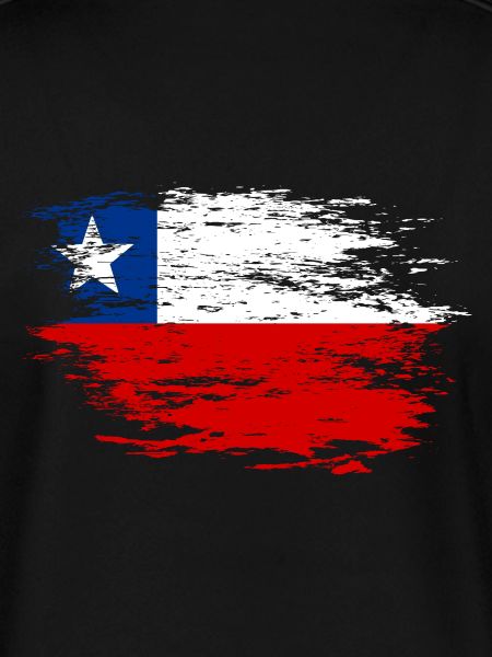 Chile flag used