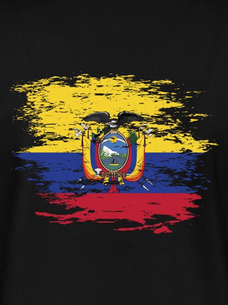 Ecuador flag used