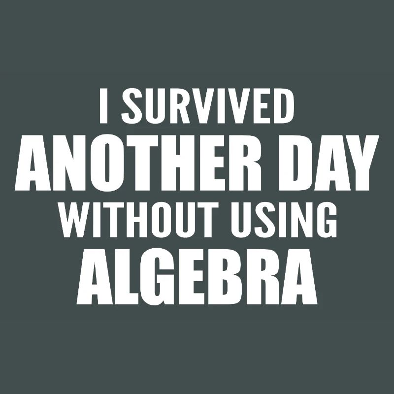 I survived without doing algebra today