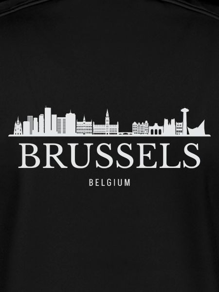 Brussels skyline, Brussels Belgium