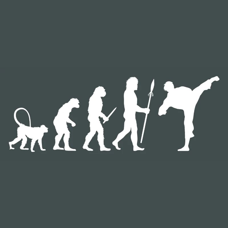 Évolution du karaté