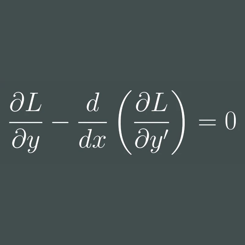 Euler-Lagrange-Gleichungsfundamentalphysik