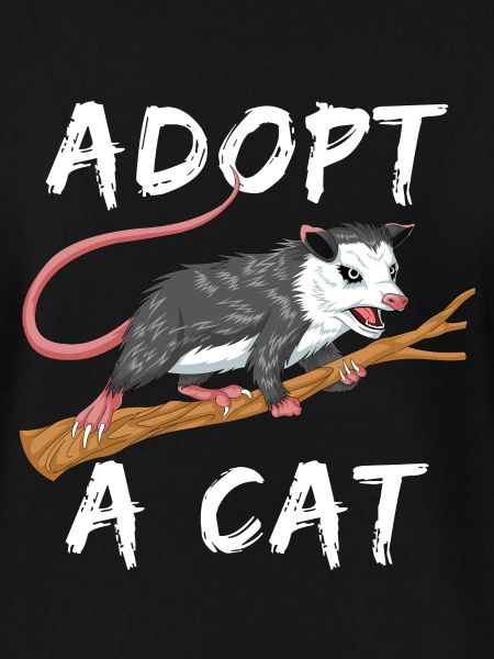 adopt a cat