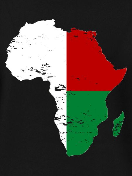 Madagascar Flag Africa