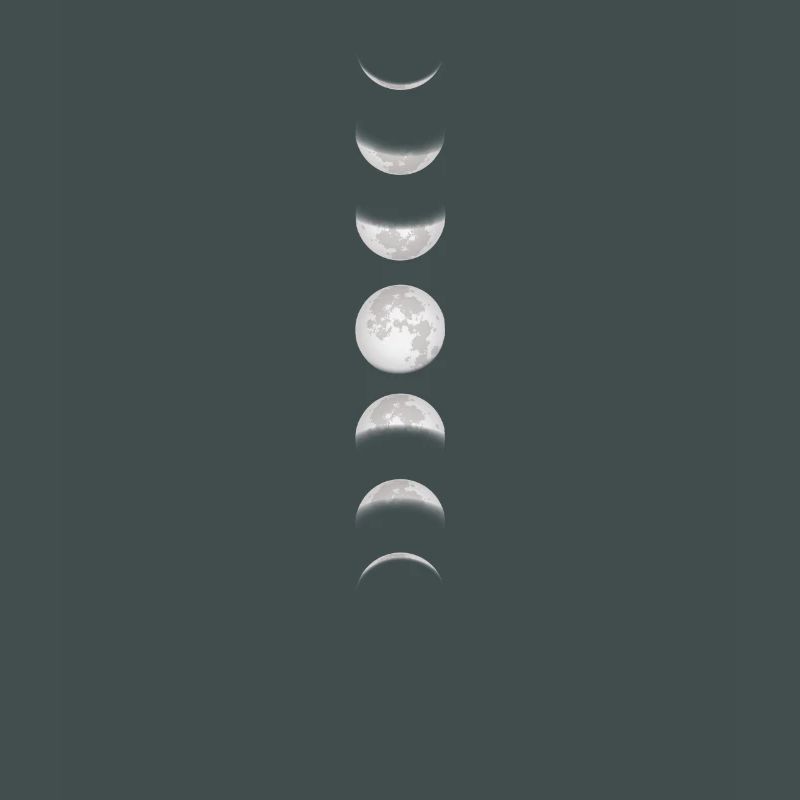 Moon Moon Moon Phases Full Moon Lunar Eclipse Total