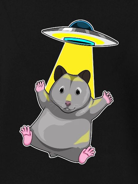 Hamster Raumschiff Weltraum