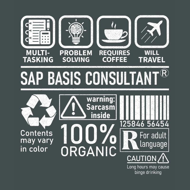 Sap Basis Consultant multi tasking problem solving