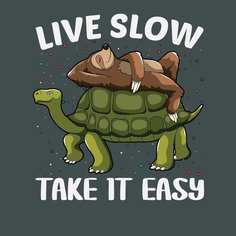 Turtle Sloth